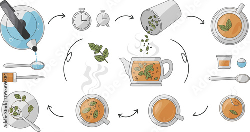 Herbal tea preparation process with brewing steps ingredients teapot and cups infusion workflow vector illustration set