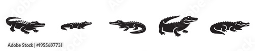 crocodile vector with silhouette style