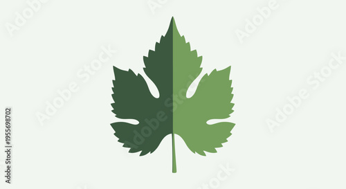 Green leaf illustration with serrated edges.