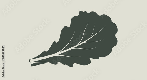 Dark Green Leafy Vegetable Closeup.