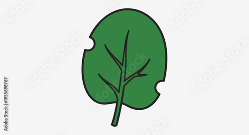 Damaged green leaf with stem.