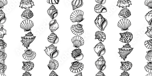 Seashell Pattern Vector with Hand Drawn Shell Illustrations in Vintage Engraving Style for Marine Design, Coastal Decor, Textile Prints, and Nautical Backgrounds