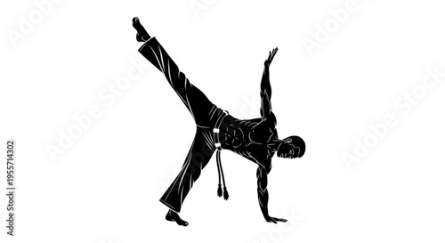 Dynamic Capoeira Silhouette on White