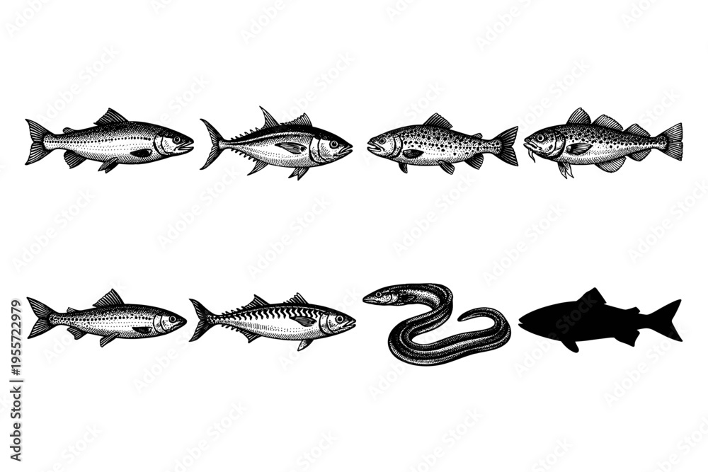 Fototapeta premium Collection of diverse fish and eel illustrations in a vintage engraving style