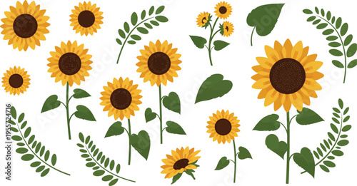 A vibrant collection of sunflowers and leaves on white background