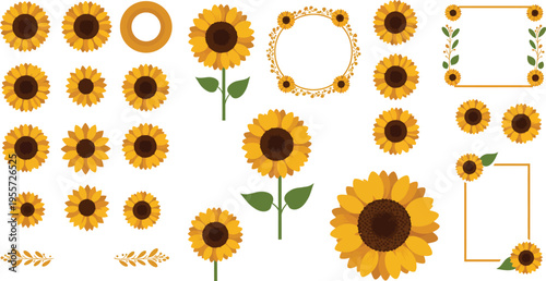 Collection of sunflower illustrations in various sizes and shapes on white background