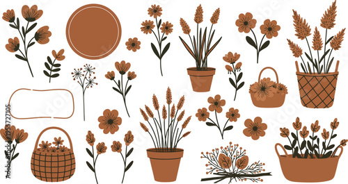 Brown and orange flowers potted plants and baskets on white background