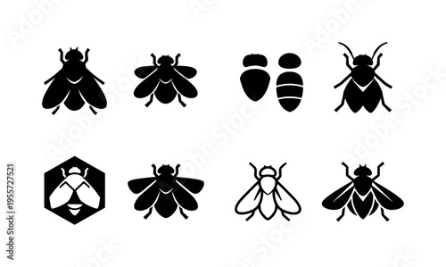 Insect fly silhouettes: classic fly insect, fly with wing pair, fly body segments, fly with antennae, fly geometric shape, fly with bold wings, fly minimal outline, fly symmetrical