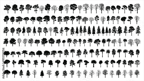 Silhouette Tree Line Drawing Set, Side View, Outlined Tree Elements for Architecture and Landscape Design, Vector Illustration with White Stroke Fill, Tropical Style.