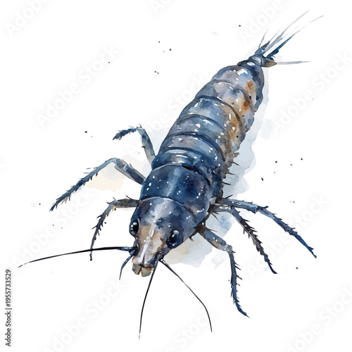 Silverfish, charming watercolor clipart, isolated on a white background.