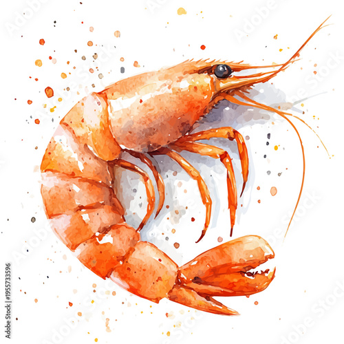 Shrimp, charming watercolor clipart, isolated on a white background.
