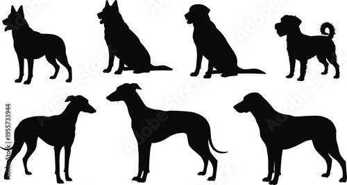 Dog silhouettes collection isolated vector, domestic pet illustration, black animal outline, canine breed shapes, sitting and standing dogs, graphic design element