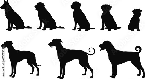 dog, pet, animal, silhouette, canine, vector, breed, domestic, black, outline, sitting, standing, shape
