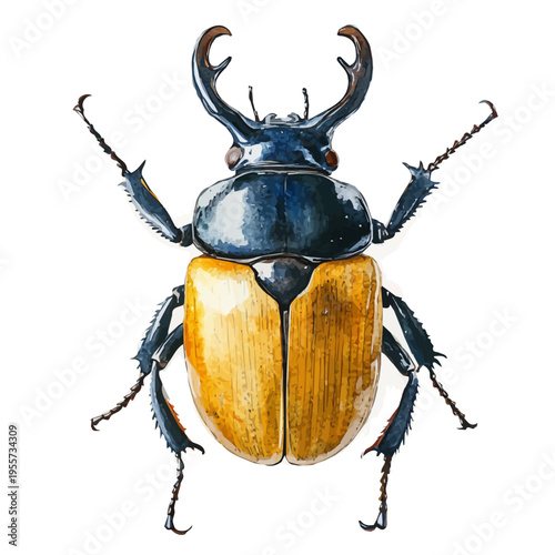 Rhinoceros Beetle, playful watercolor vector depicting lively antics and expressive gestures, isolated on a white background.