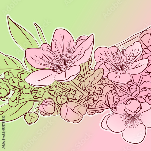 A blooming spring branch on a light background