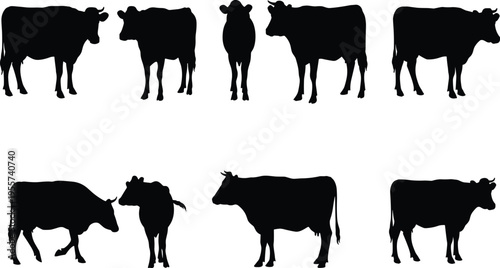 Cow silhouettes, farm animals, livestock illustration, cattle shapes, black silhouette art, dairy cow posture, rural agriculture, animal design, vector graphic