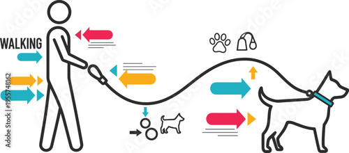 Dog walking process infographic with arrows and icons, pet training and movement concept, flat vector illustration design