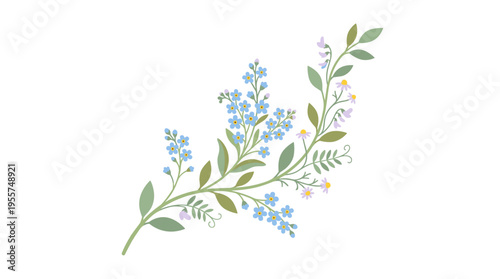 A floral bloom featuring delicate wildflowers, leaves, and stems, including forget‑me‑nots, set against a gentle spring branch in a flat botanical vector illustration on a white background