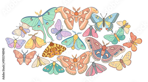A collection of pastel-colored cartoon moths of varying types and sizes set against a white background, featuring nocturnal insects with beautiful wings, including butterflies, illustrated in colored