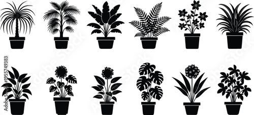 Aim, higher, squat, lower, fitness, motivation, gym, quote, typography, weightlifting, exercise, training, bodybuilding, inspiration, vector, lettering, health, sports, athlete, workout.