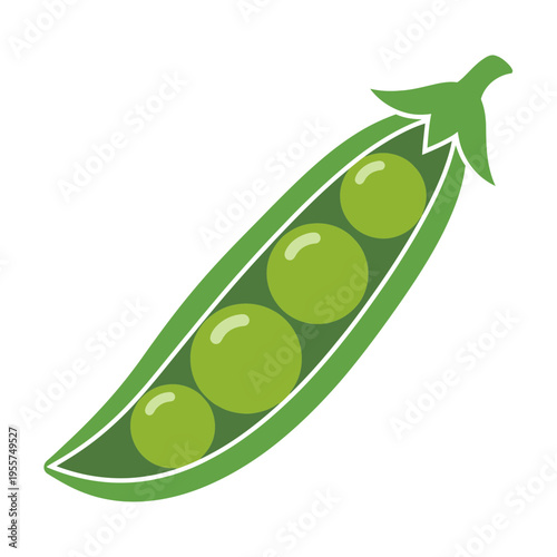 A green pea pod with peas.