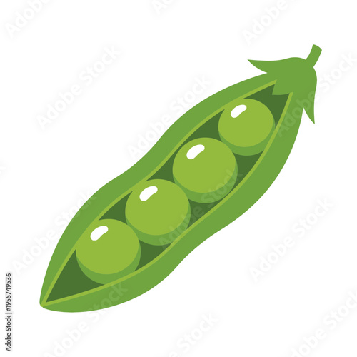 A green pea pod with peas.