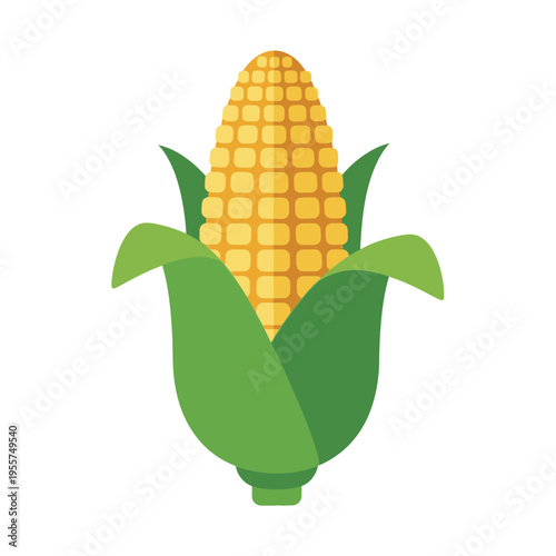 An illustration of a corn on the cob.