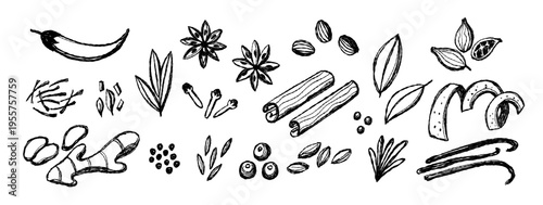 Collection of hand drawn spices, herbs and seasonings in sketch style. Organic shapes, textured lines and monochrome palette create a natural, authentic and artisanal look with a raw, expressive chara