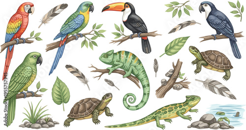 Exotic Birds and Reptiles Collection Vector Illustration Featuring Parrot Toucan Chameleon Turtle Lizard and Tropical Wildlife Elements Set