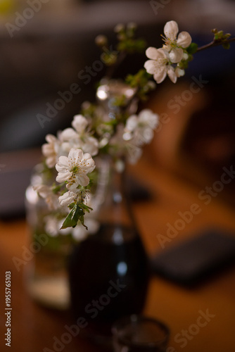 A branch of a blossoming tree in spring. A cherry tree is blossoming. An apricot tree is blossoming.