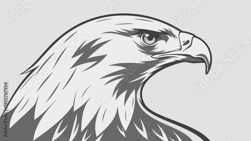 Powerful eagle head profile, majestic bird of prey vector illustration with detailed features for symbolism and nature graphics