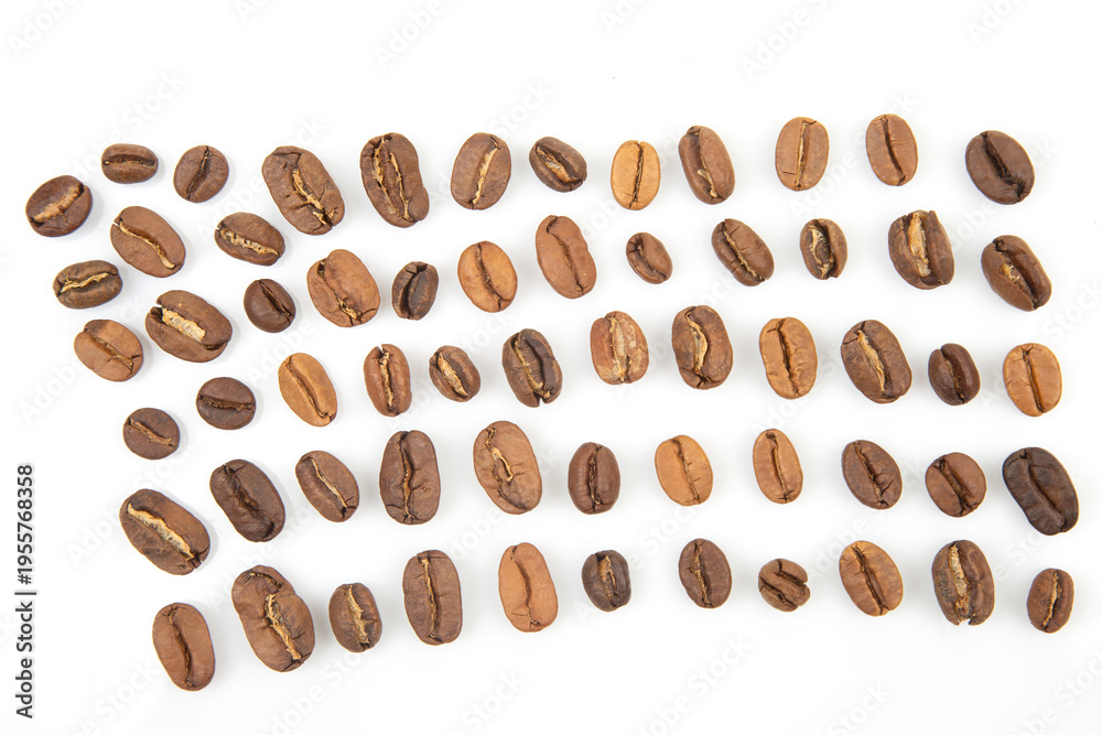 Obraz premium Different types of coffee beans arranged in neat rows on a white surface for display and comparison