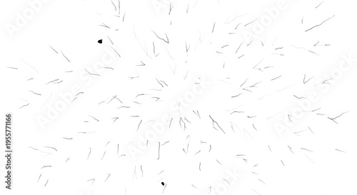 A minimalist illustration of confetti exploding.