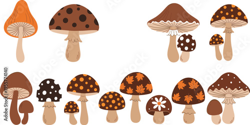 Autumn mushroom vector illustration set with brown and orange forest fungi, decorative fall season toadstools collection, botanical nature elements isolated on white background.