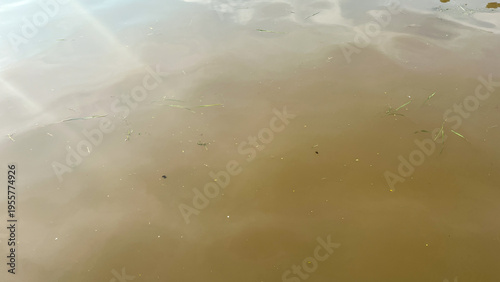 Murky brown water surface with ripples