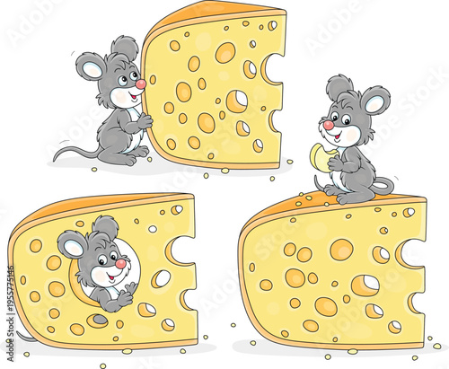 Funny grey little mouse gnawing a big piece of very tasty cheese at breakfast in a pantry, a set of vector cartoon illustrations on a white background