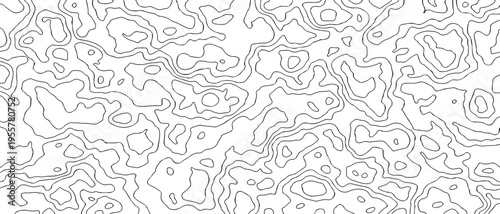 Topographic Contour Line Pattern Abstract Black and White Map Texture Background for Design.