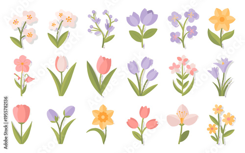 Collection of beautiful colorful flowers.