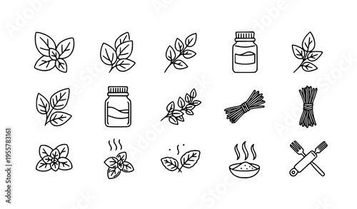 Oregano outline icon set with herb leaves and cooking spice aroma symbols for web design isolated on white