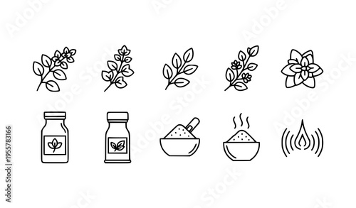 Oregano herb line icon set with cooking spice and aroma symbols in horizontal layout isolated on white