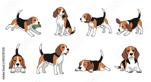 Cute beagle dog shown in various playful and resting poses like running, sitting, sleeping, and stretching on a plain background.