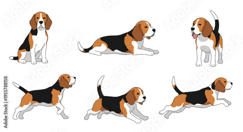 Detailed character sheet of a beagle dog performing several actions like sitting, running, standing, and resting.