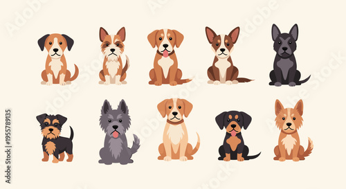 Large collection of diverse dog breeds including terriers, retrievers, and spaniels shown in a friendly sitting position.