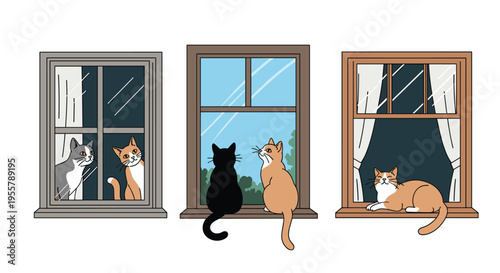 Collection of adorable cats in various poses looking out of three different windows during both daytime and nighttime settings.