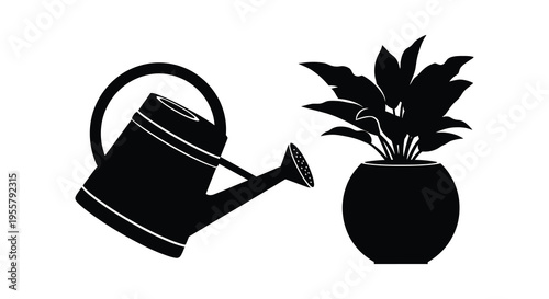 Watering can pouring onto a potted plant a striking black silhouette