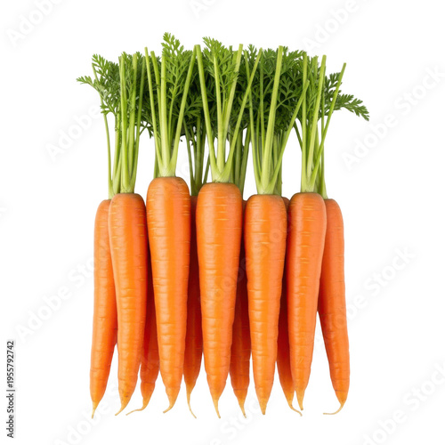 A bunch of fresh carrots on transparent background