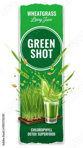 Vibrant wheatgrass living juice green shot illustration, highlighting chlorophyll detox superfood benefits for health and wellness.