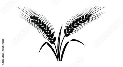 Two wheat stalks gracefully arching creating a striking black silhouette