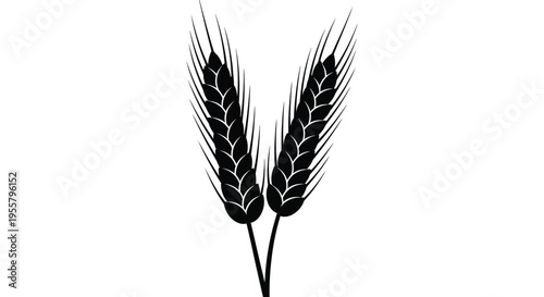 Two stalks of wheat displayed in a striking black graphic silhouette
