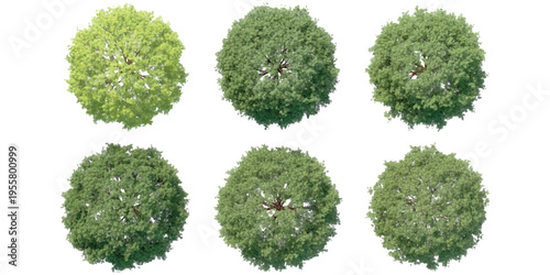 Set of top view green trees isolated on white background for architectural landscape design vector illustration